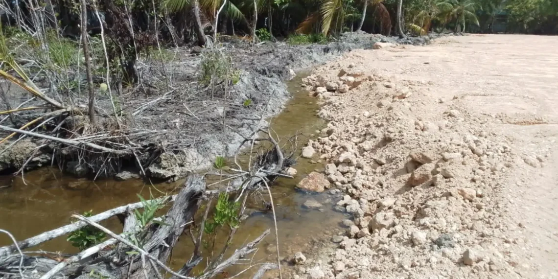 Daños al medioambiente del proyecto inmobiliario The Reef. (Fuente externa)