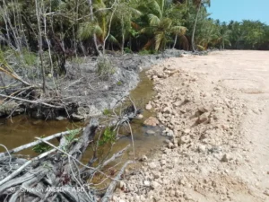 Daños al medioambiente del proyecto inmobiliario The Reef. (Fuente externa)