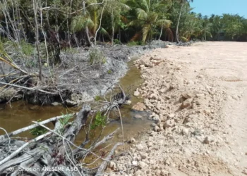 Daños al medioambiente del proyecto inmobiliario The Reef. (Fuente externa)