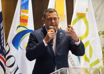 Presidente de Fedomu aclara solo los ayuntamientos pueden otorgar permisos de uso de suelo