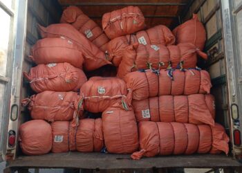 Falsifican útiles escolares de la marca Totto en San Isidro; la fiscalía incauta más de 70 mil productos