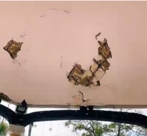 WhatsApp Image 2025 10 11 at 12.09.52 PM